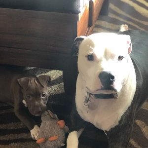 Meet your Posher, Erica